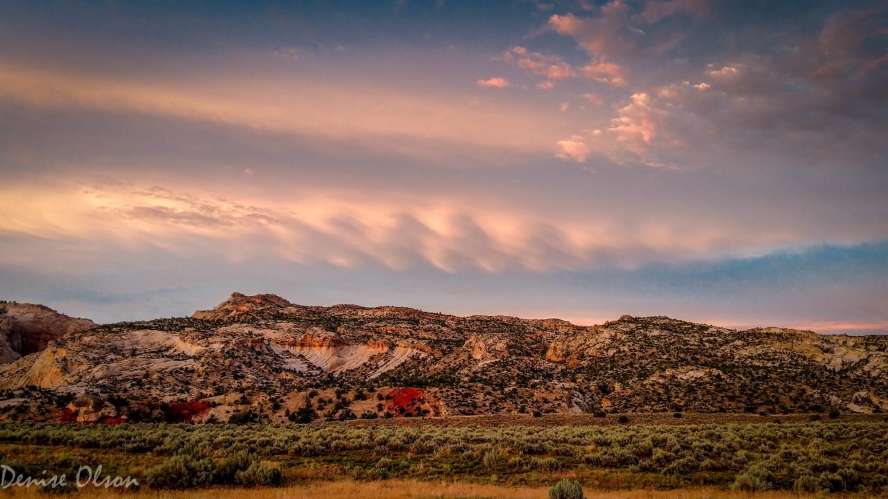 Area Information Trails End Real Estate