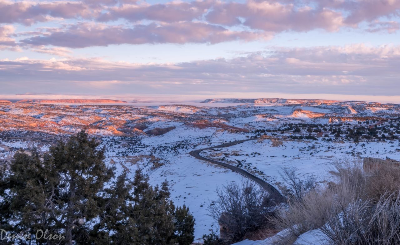 Area Information Trails End Real Estate